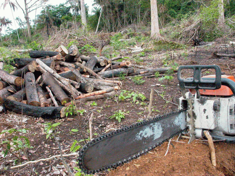 ptnosenado.org.br