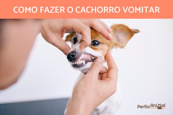 www.peritoanimal.com.br