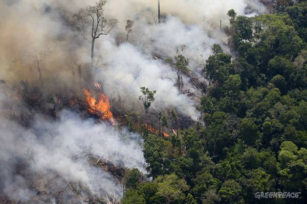 www.observatoriodoclima.eco.br